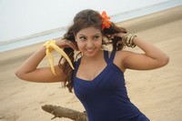 Komal Jha Spicy Photos